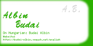 albin budai business card